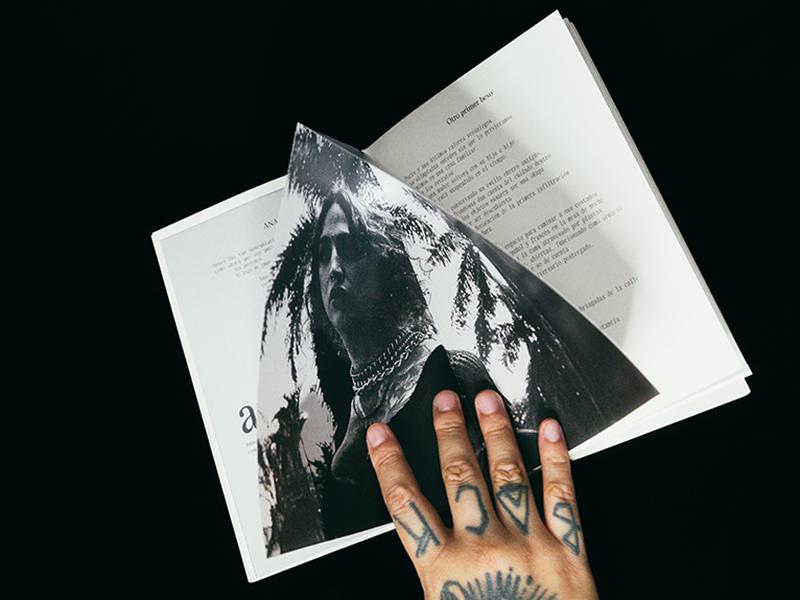 Gràfica impresa - Alejandra Medina - 01