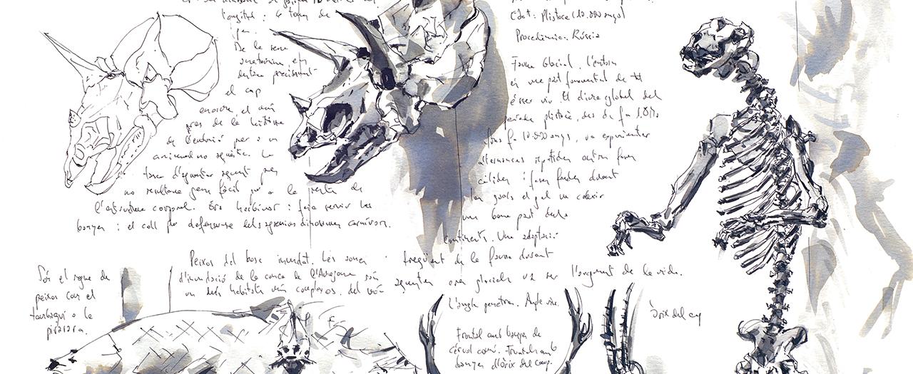 sketching