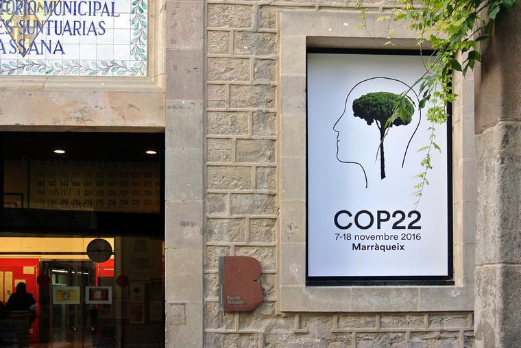 COP22