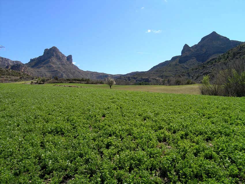 Jornadas de Serraduy