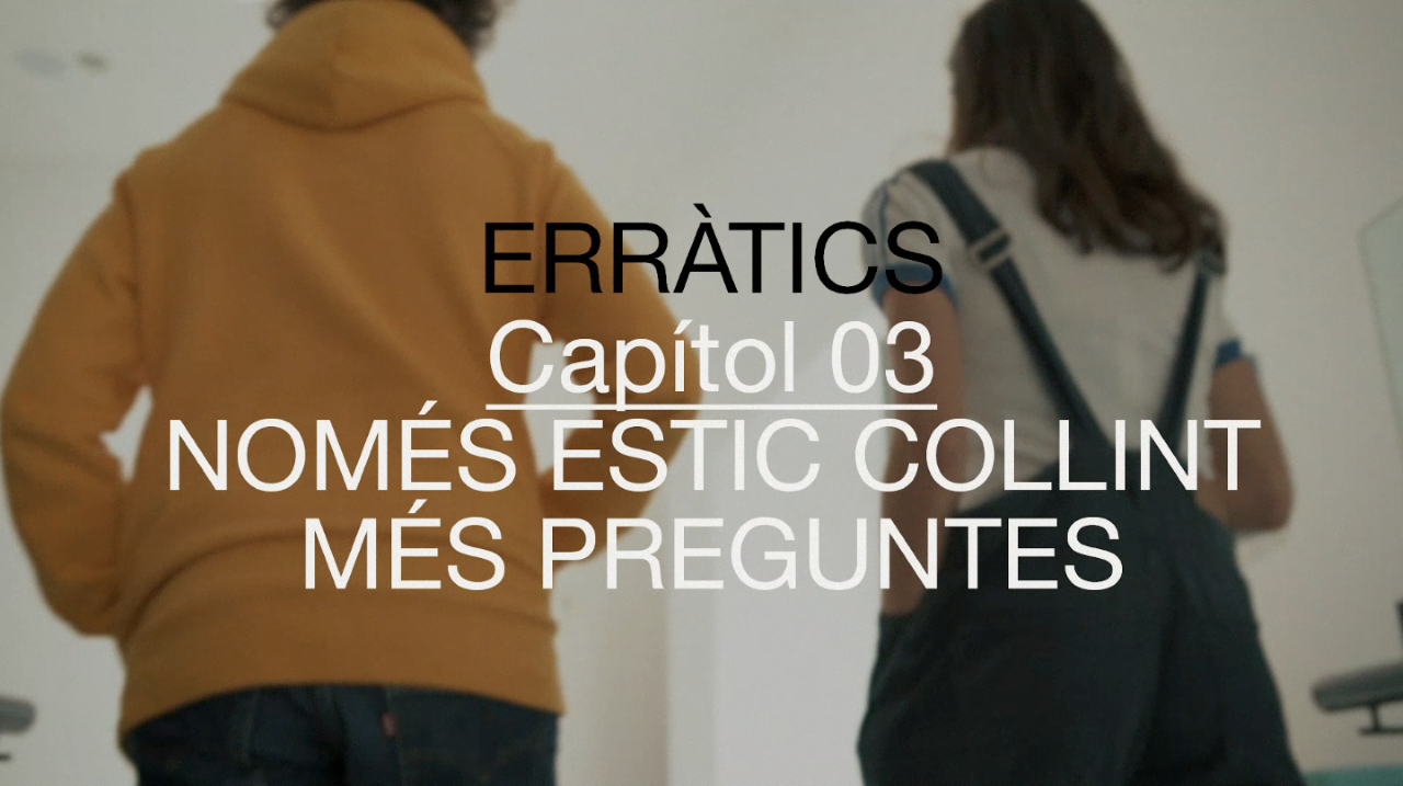 erratics-03
