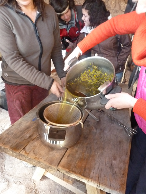 Seminario de la Lana